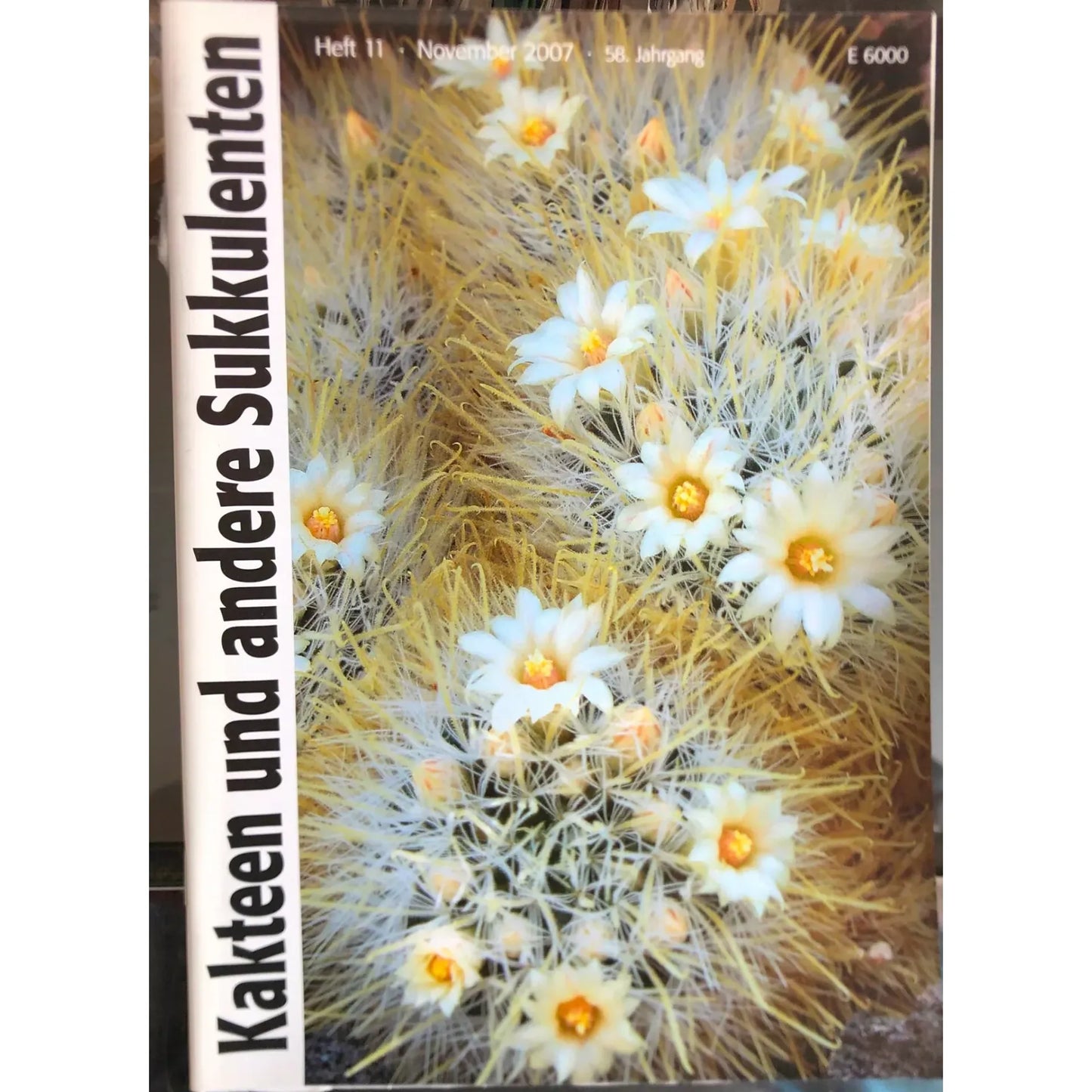 Kein botanischer Name im Titel vorhanden, um Alt-Text zu erstellen.