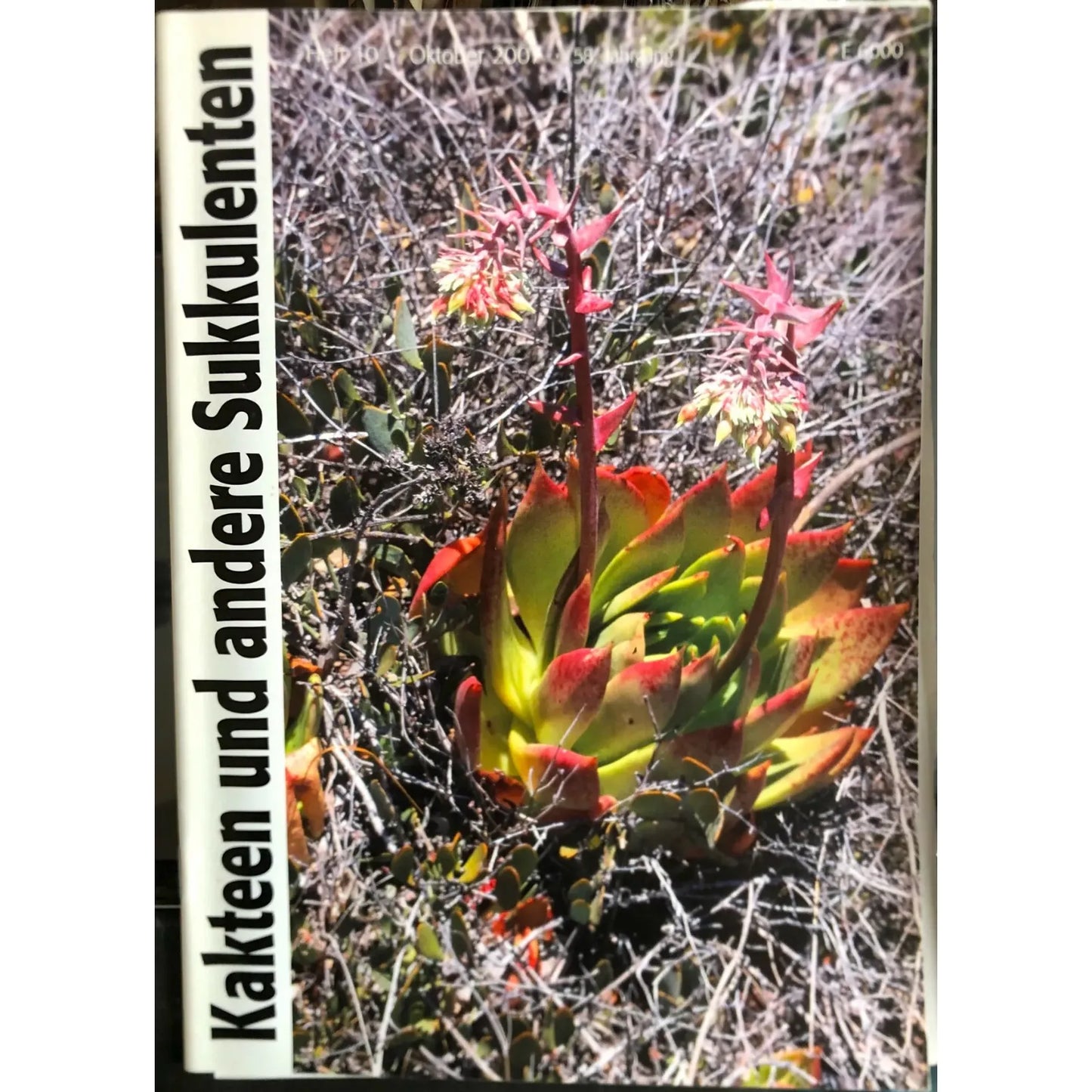 No botanical name is present in the title "Kakteen und andere Sukkulenten HEFT10 Oktober 2007 58. Jahrgang" to use as a primary keyword for the alt text. Please provide a title containing a botanical name.