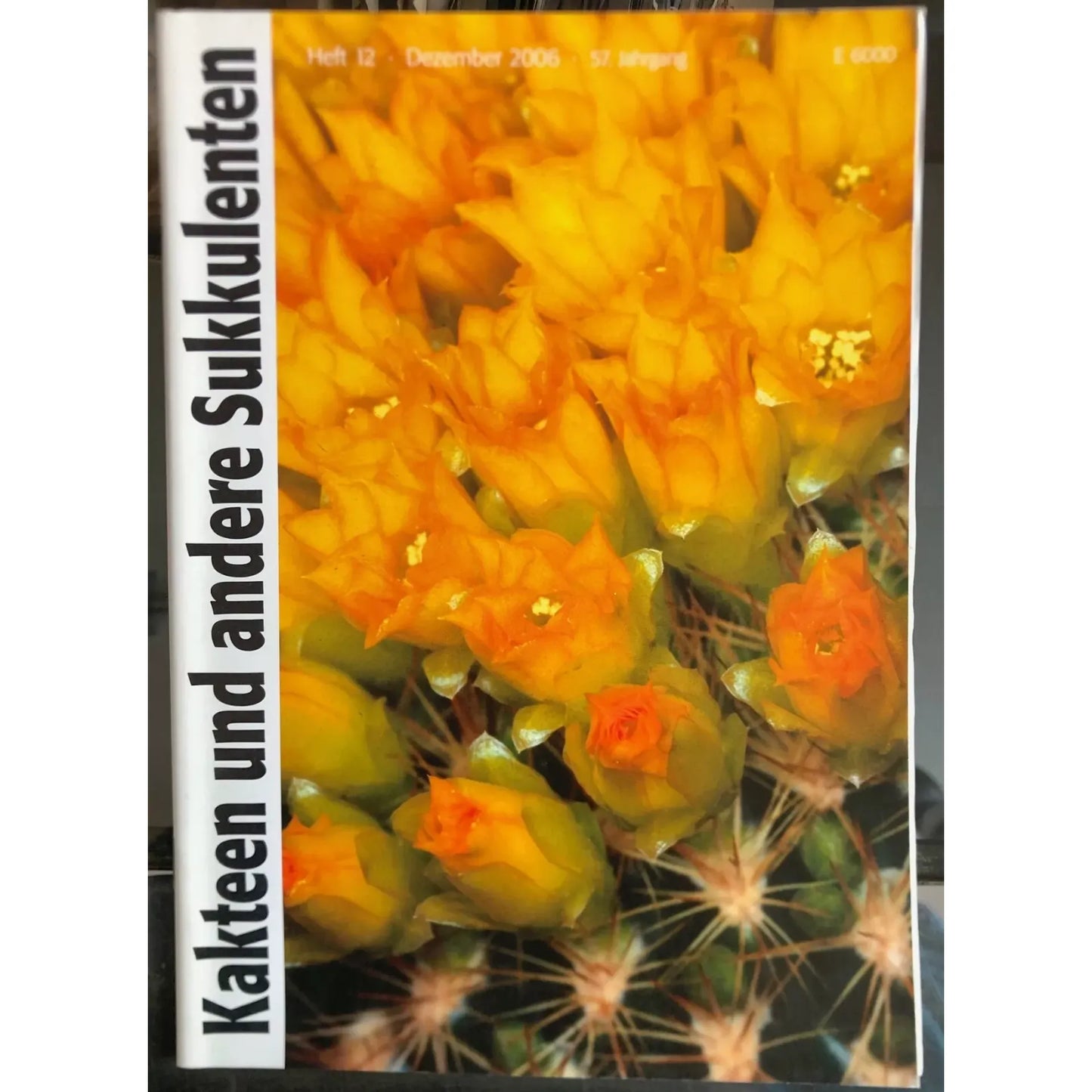 Cactus et autres succulentes fleurs de cactus jaune vif avec des tiges vertes épineuses