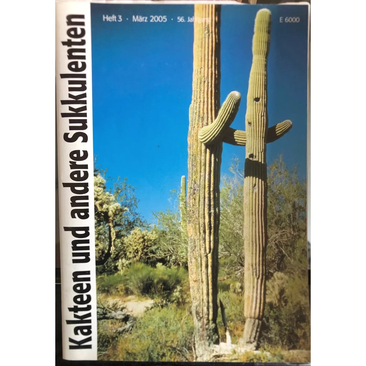 Kakteen succulent tall columnar cacti with arms in desert landscape