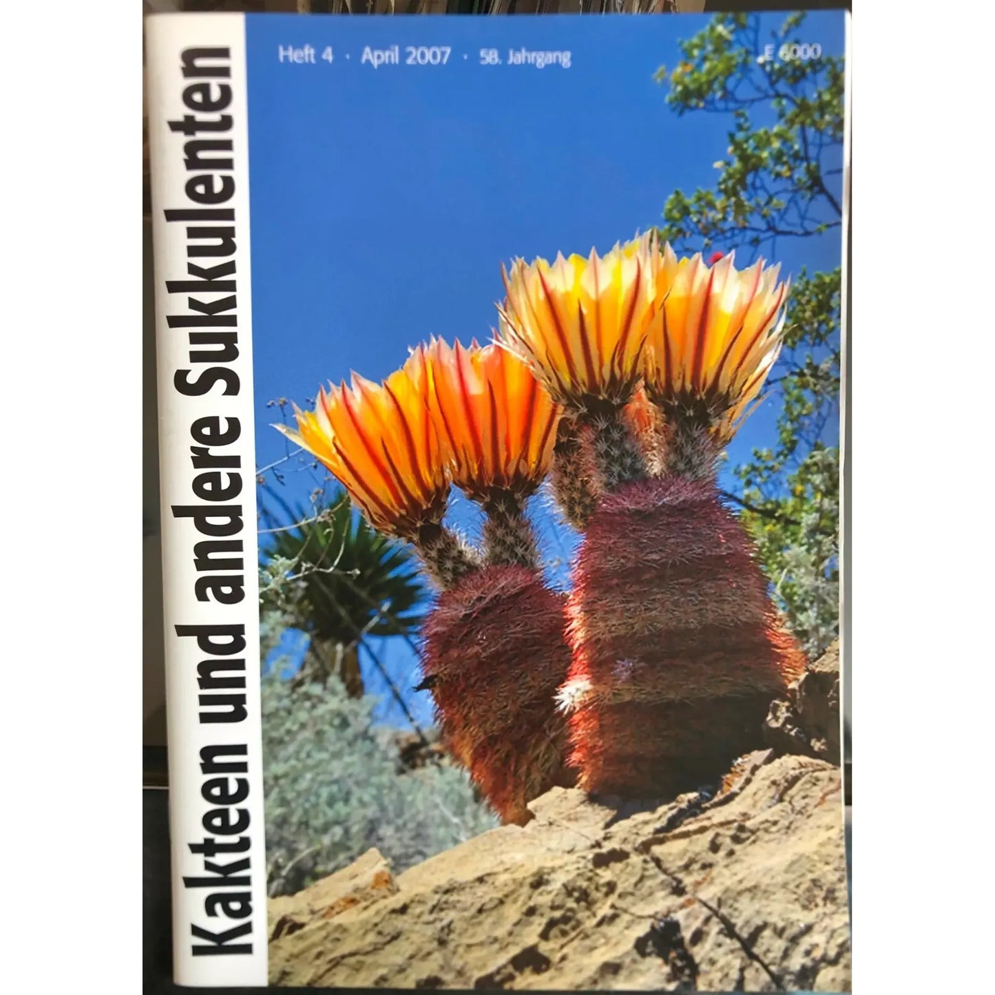 No botanical name present in the title to use as a primary keyword.