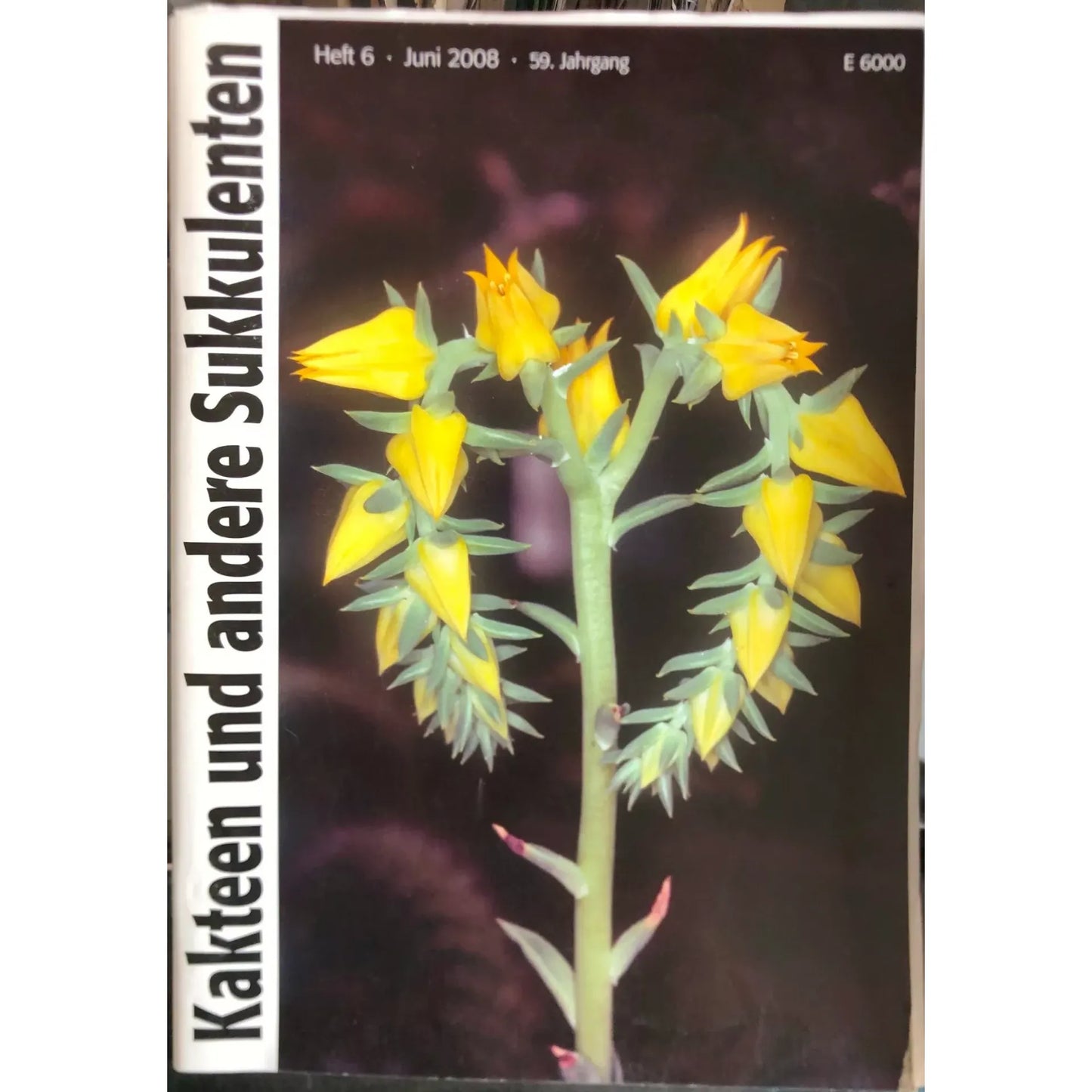 No botanical name present in the title to use as a primary keyword for alt text.