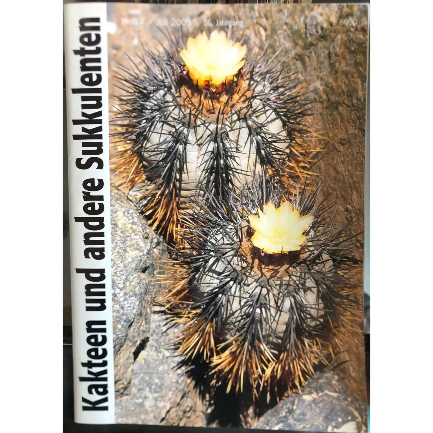 No botanical name is provided in the title "Kakteen und andere Sukkulenten HEFT7 Juli 2005 56. Jahrgang," so an SEO alt text cannot be generated based on the given instructions.