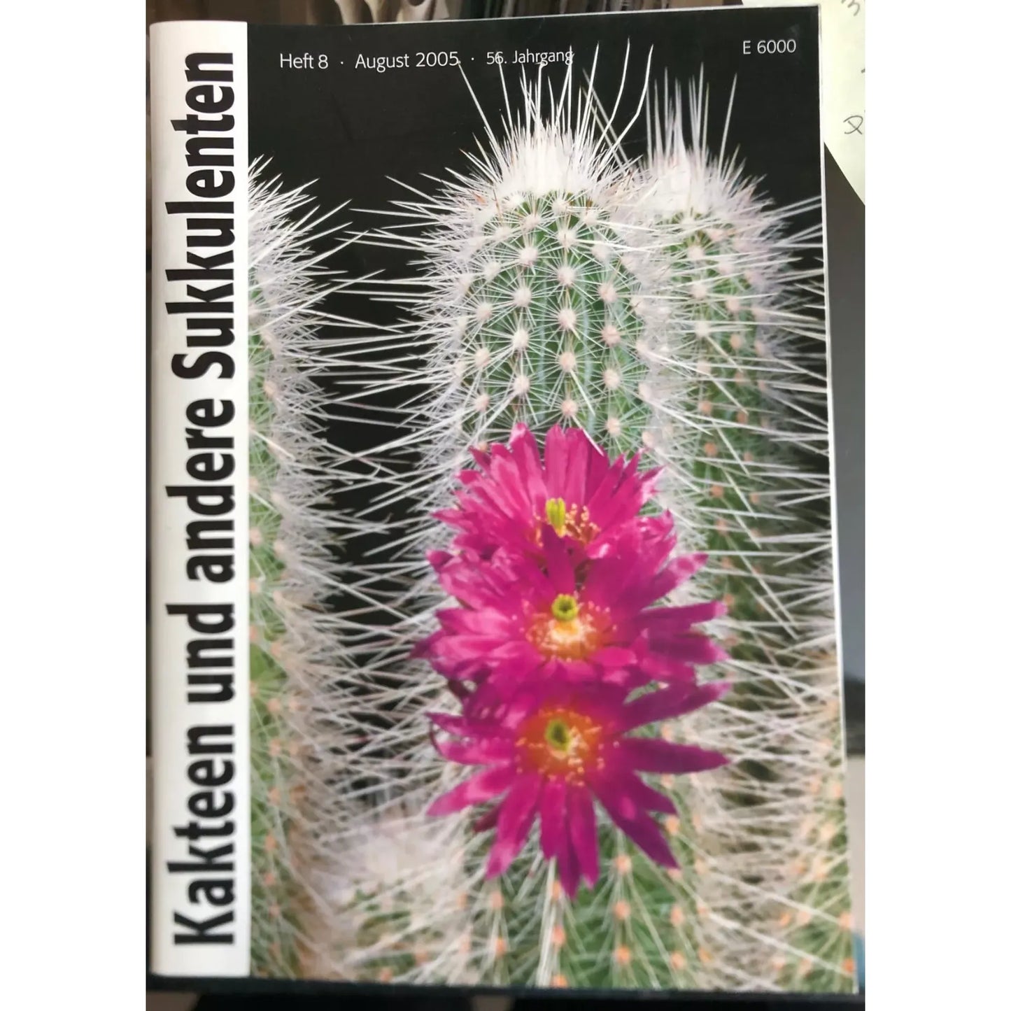No botanical name is provided in the title "Kakteen und andere Sukkulenten HEFT8 August 2005 56 Jahrgang" to create an SEO alt text.