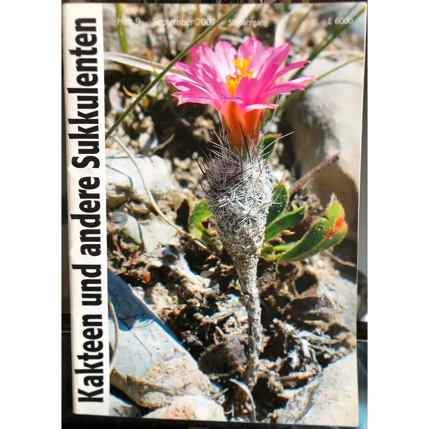 The title does not provide a specific botanical name, only the general terms "Kakteen und andere Sukkulenten" which means "Cacti and other succulents." Since no genus or species is given, I cannot extract a botanical name from the title.
Please provid...