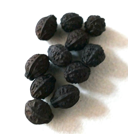 Mirabilis jalapa mørkebrune rynkete hybriddruefrø med teksturert overflate nærbilde