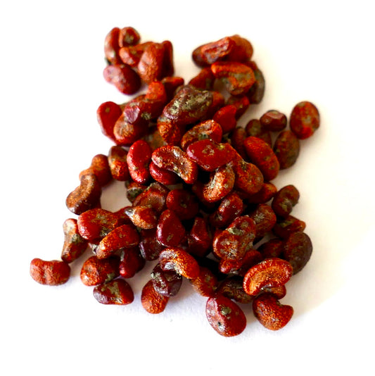 Sementes de Pittosporum tobira pequenas, avermelhado-acastanhadas, sementes de planta texturizadas em close-up