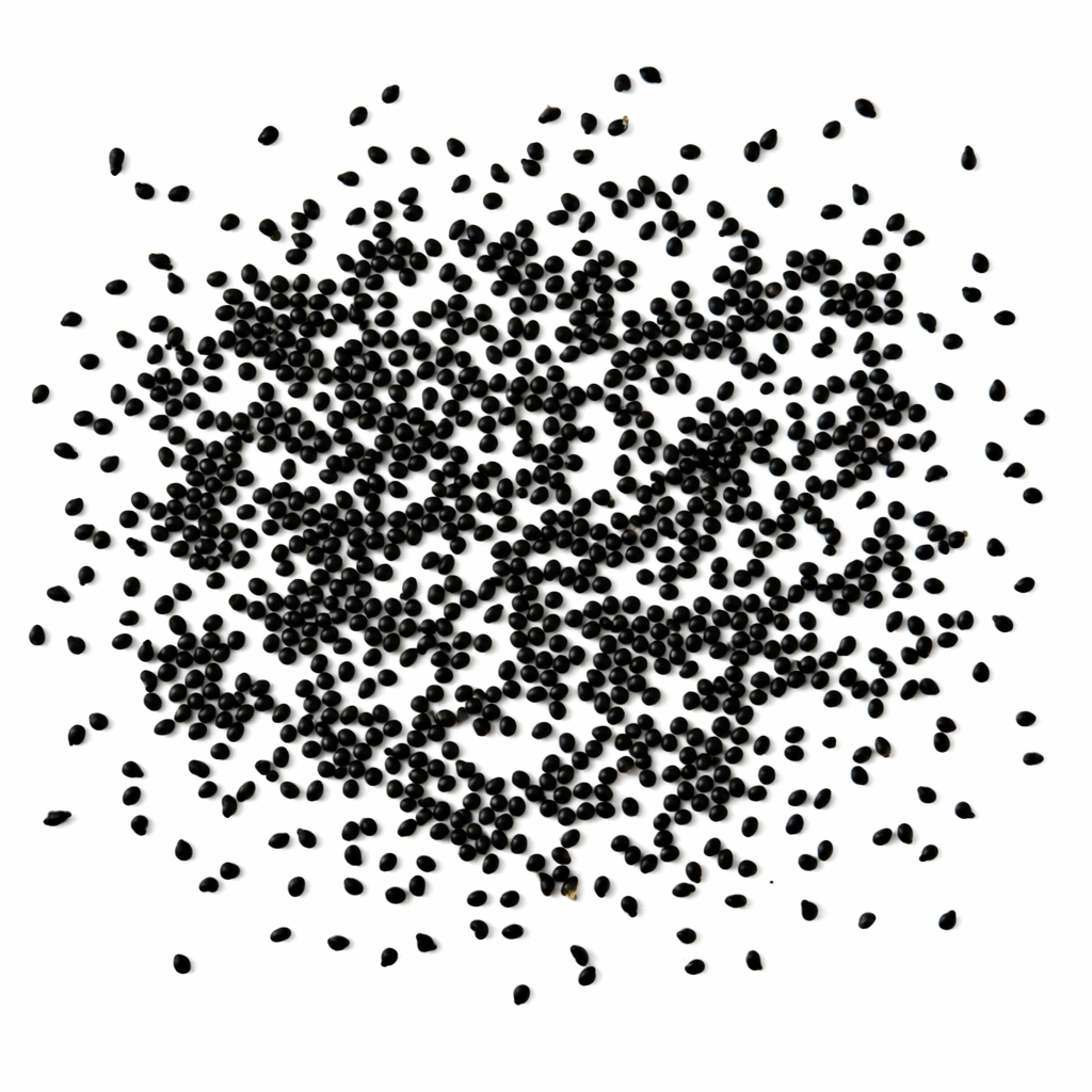 Kleine schwarze Polaskia chichipe Kaktussamen auf weißem Hintergrund verstreut