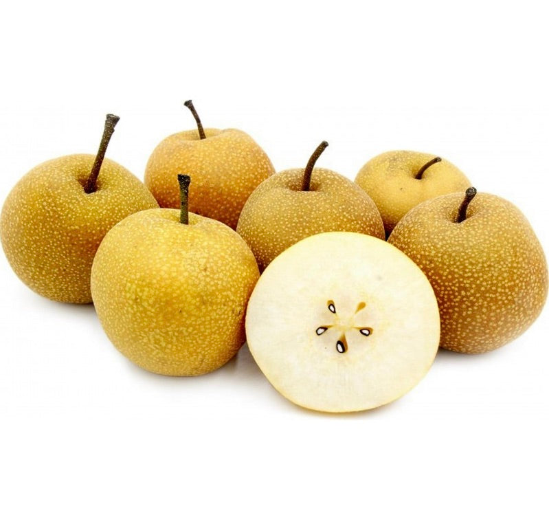 Pyrus pyrifolia cv NASHI ripe round yellow-brown Asian pears with white flesh and seeds
