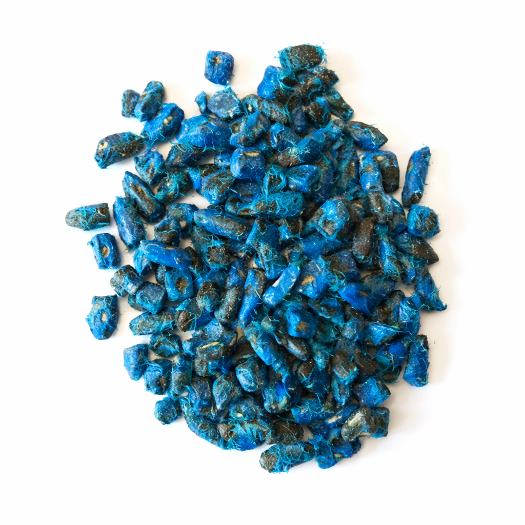 เมล็ด ราเวนาลา มาดากัสการิเอนซิส เคลือบสารรักษาสีน้ำเงินสำหรับปลูก