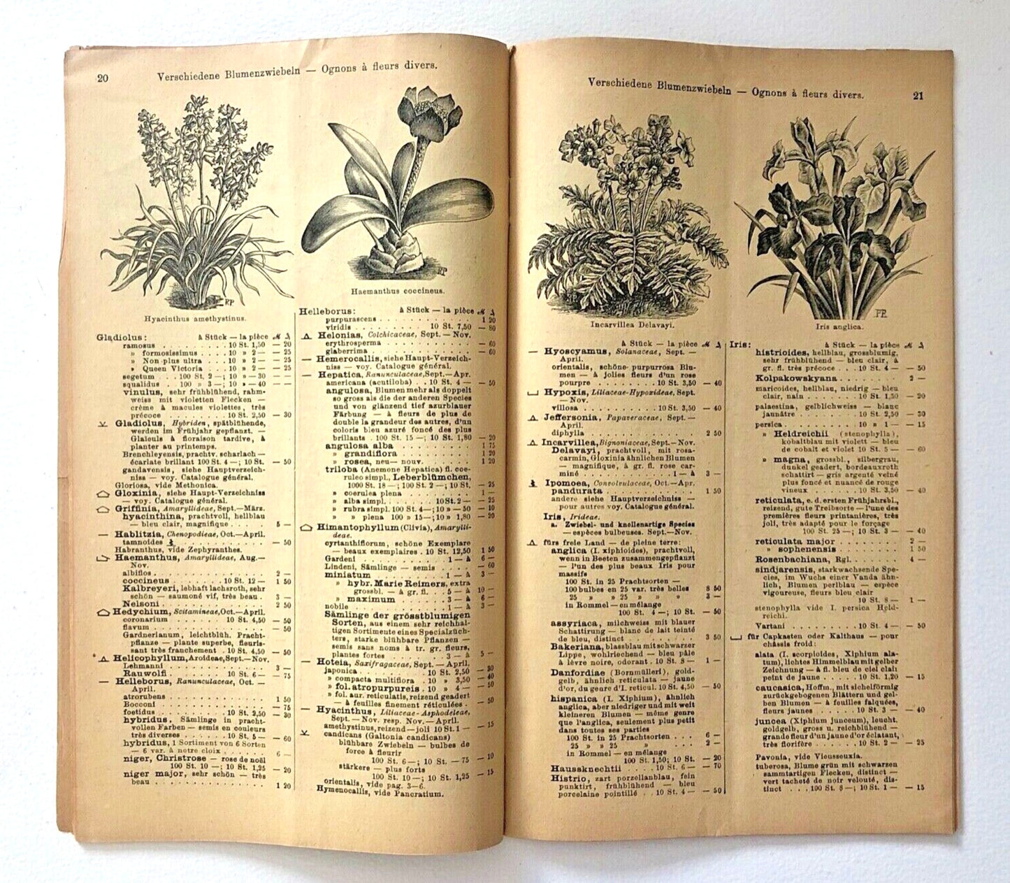 Haage & Schmidt Catalogue d'Ognons et de Tubercules à Fleurs 1901