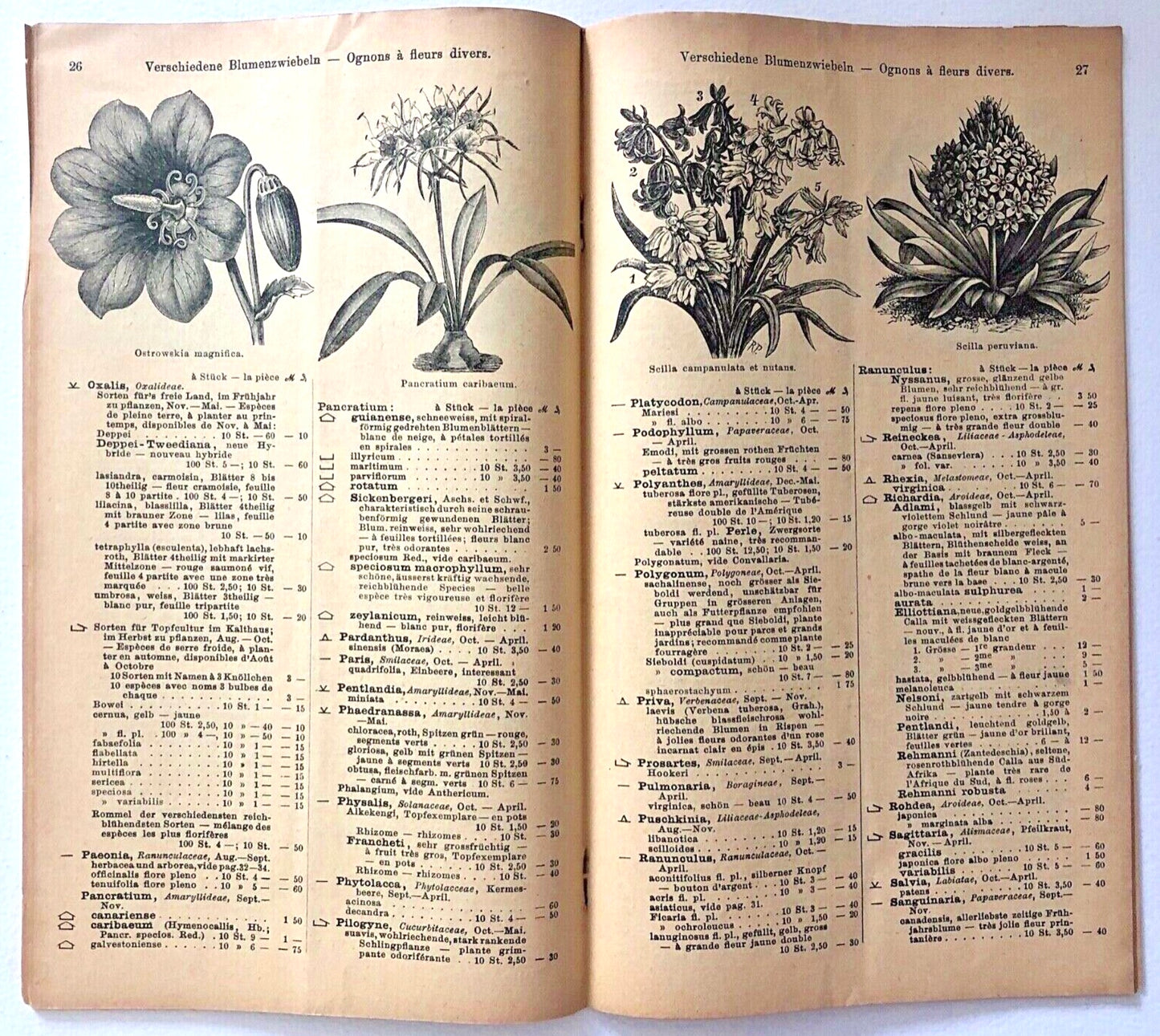 Haage & Schmidt Catalogue d'Ognons et de Tubercules à Fleurs 1901