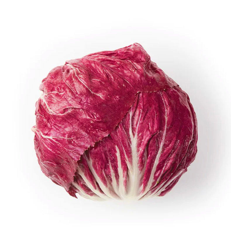 Cichorium intybus var. foliosum red leafy chicory with crisp white veins and round shape