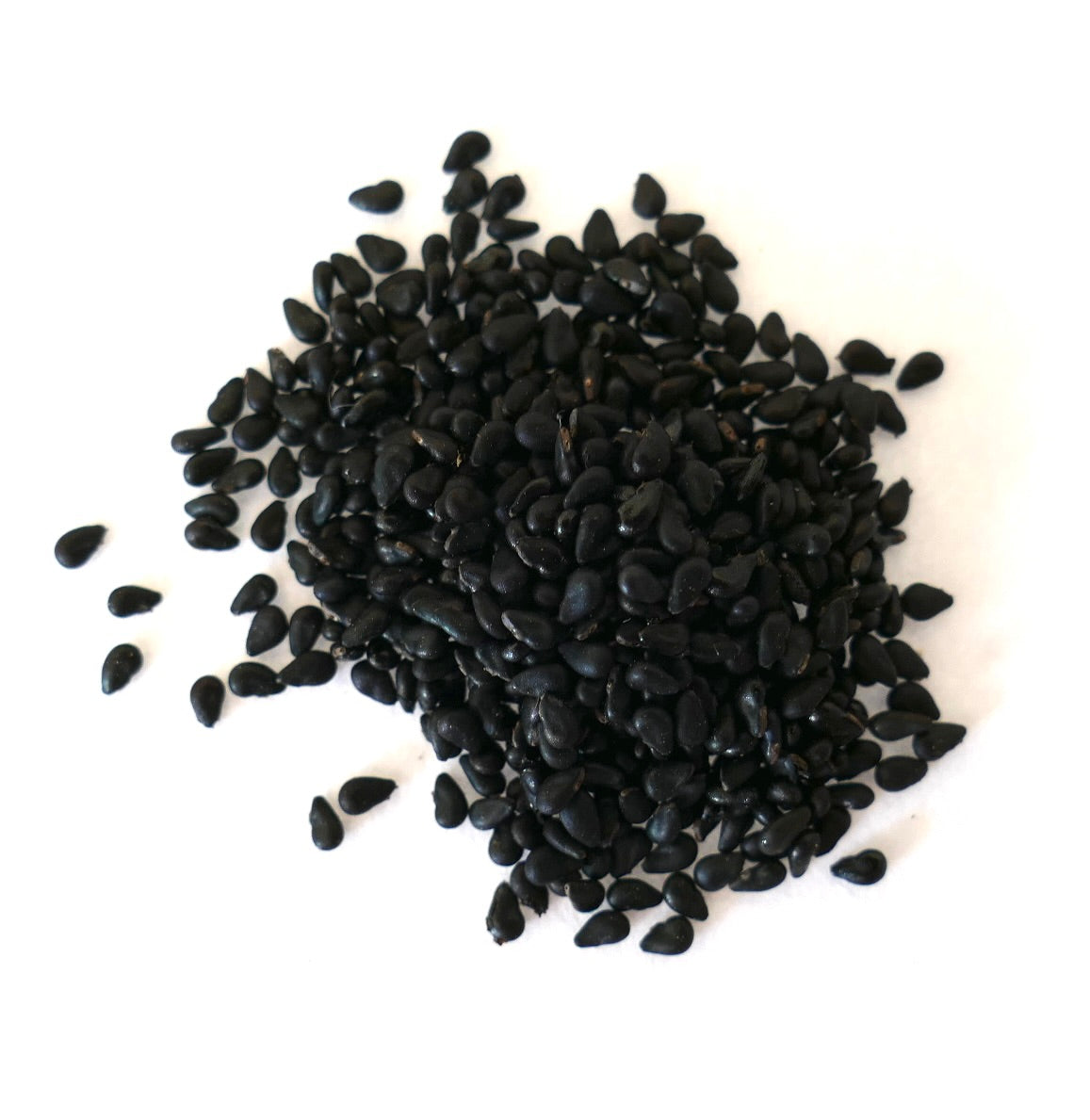 Diversi semi neri di Selenicereus grandiflorus su una superficie bianca