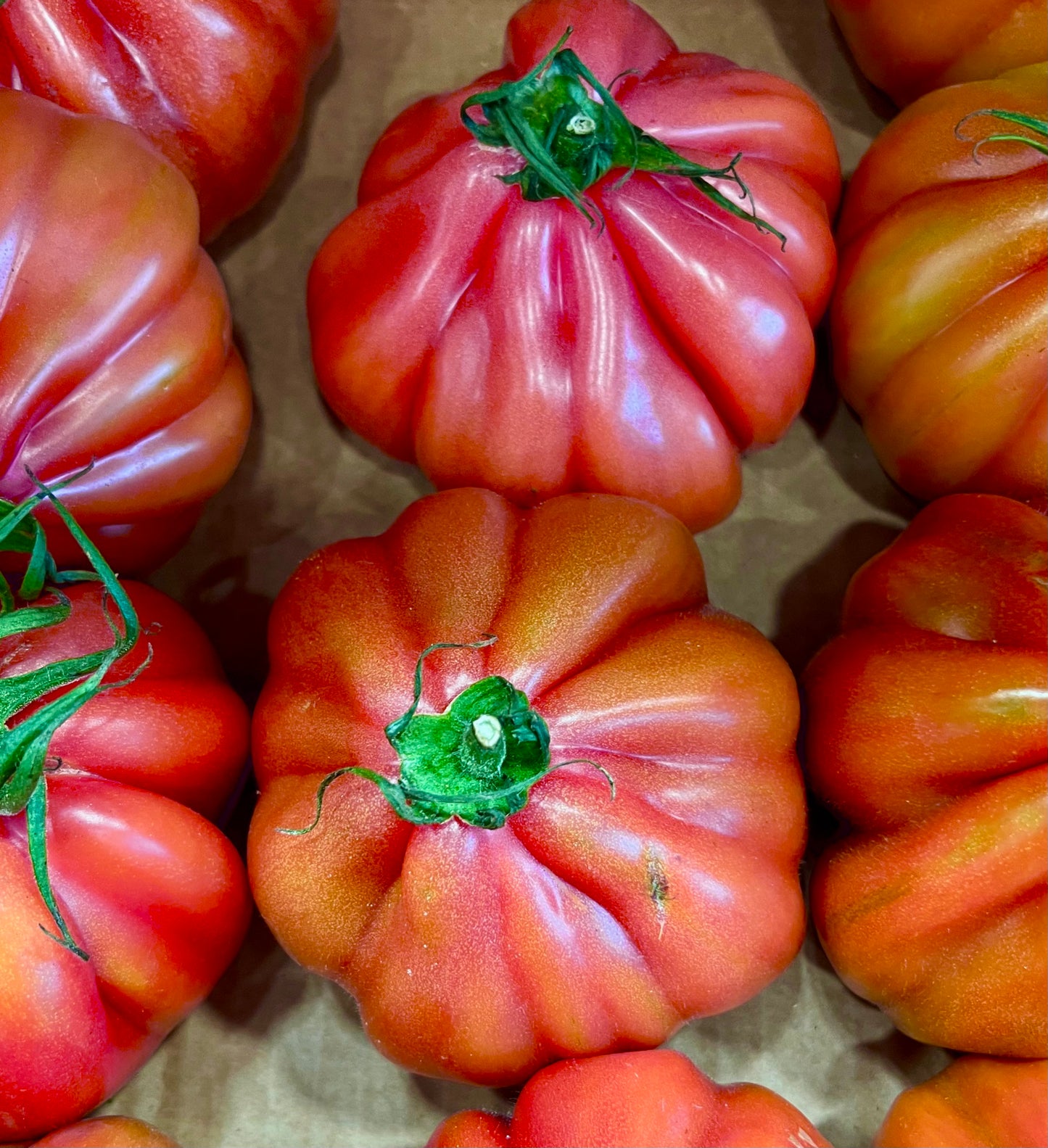 Solanum lycopersicum var. cordiforme 'Oxheart' ripe ribbed red heirloom tomatoes close-up