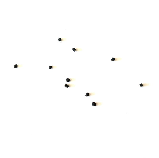 Turbinicarpus klinkerianus small black cactus seeds on white background