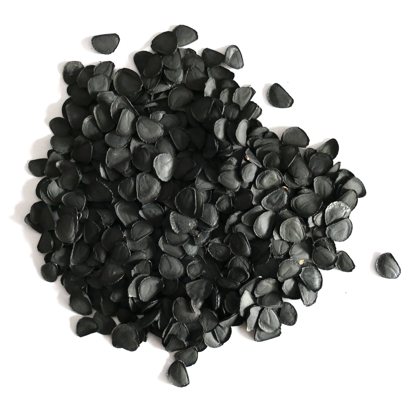 Yucca elata zwarte zaden voor zeldzame woestijnsuculent plantvermeerdering