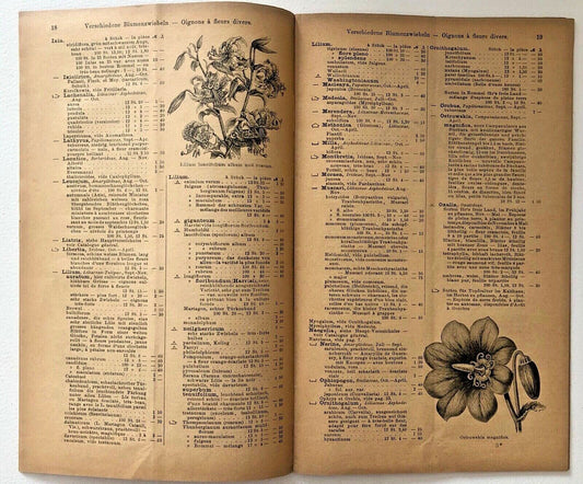 Nessun nome botanico presente nel titolo per la creazione del testo alternativo.