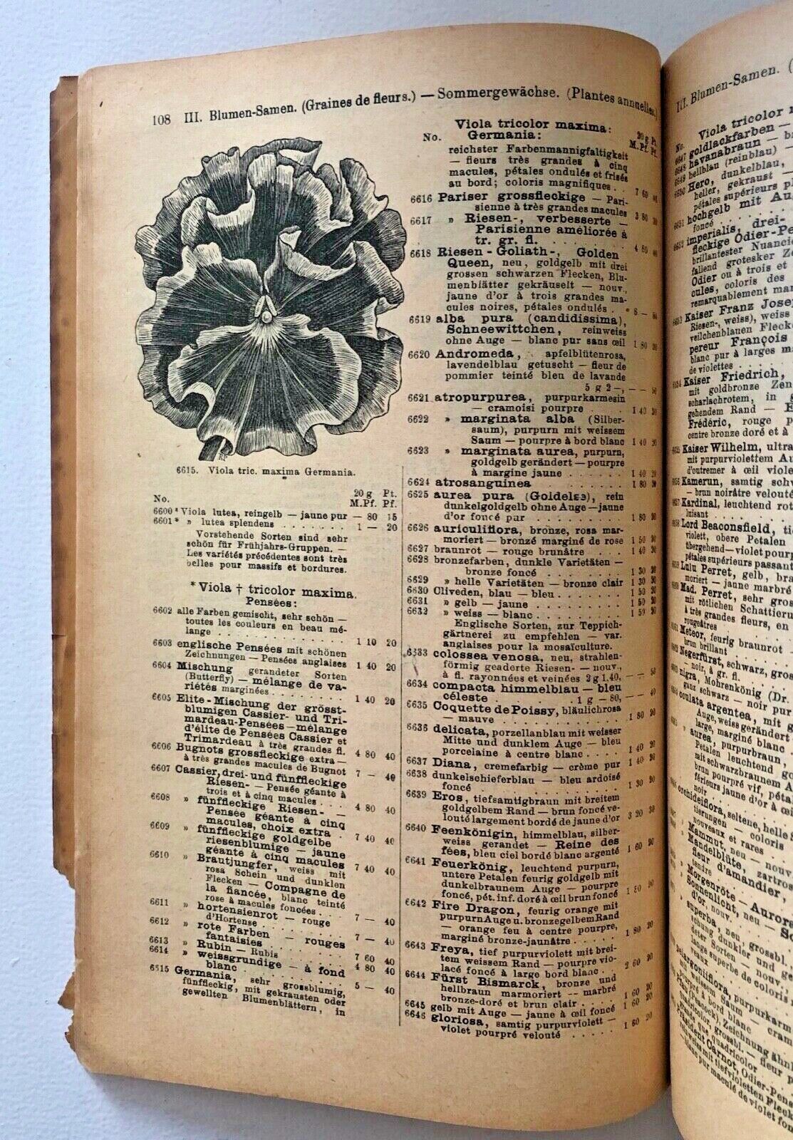 Haage & Schmidt 1913 Catalogue De Graines Et Plantes
