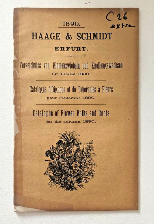 Haage & Schmidt 1890 Catalogue d'Ognons et de Tubercules à Fleurs