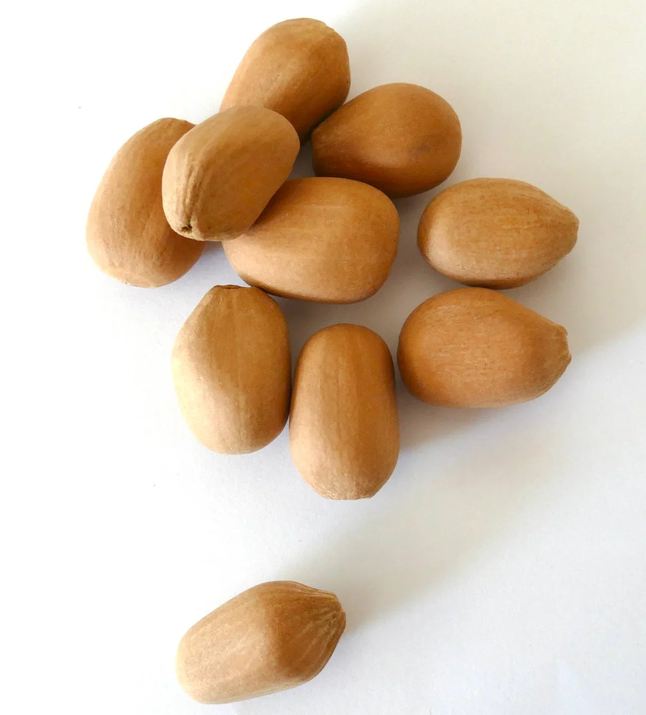 เมล็ดสดสะอาดของไดออน