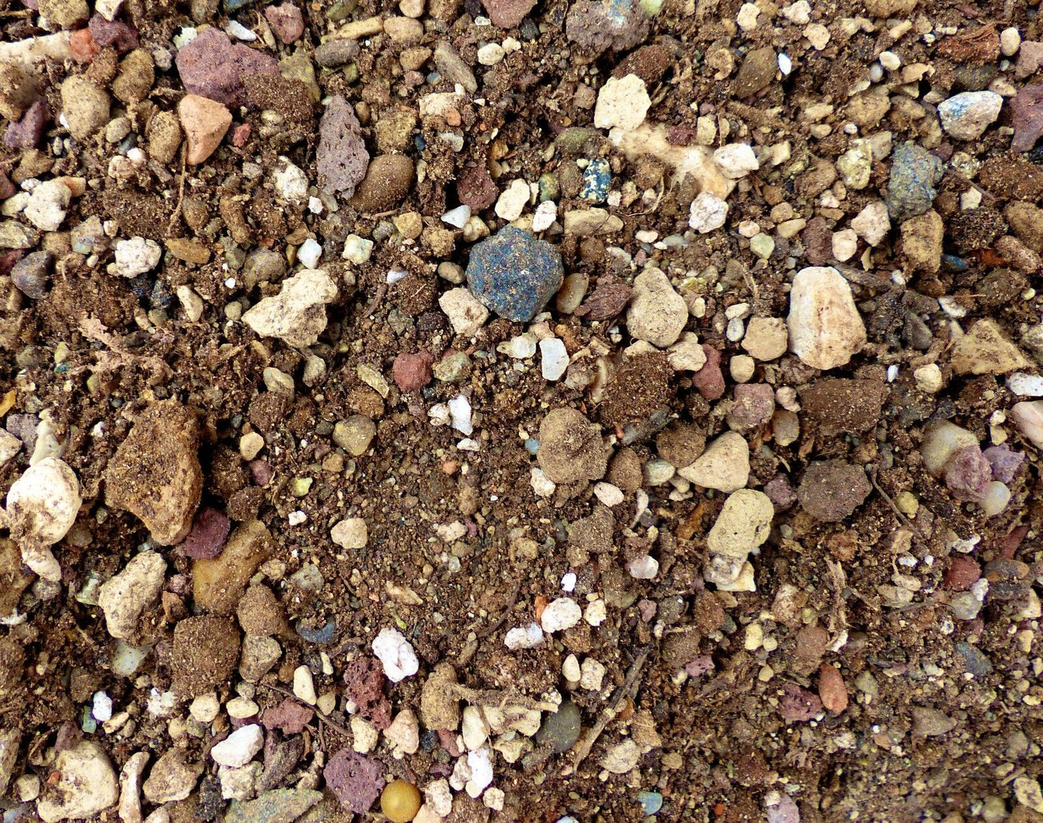 Gardening Tools & Soils