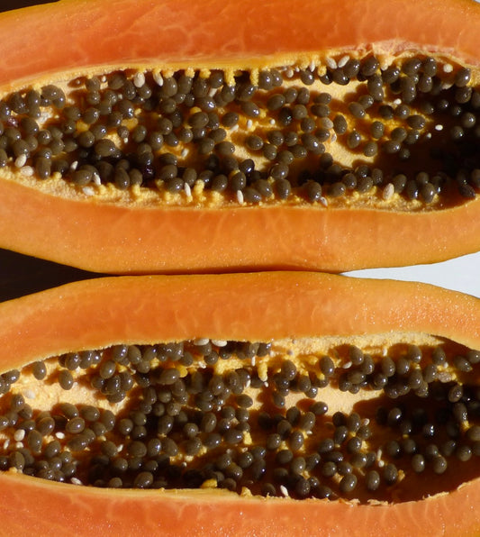 Carica papaya cv. "SOLO" SEMI