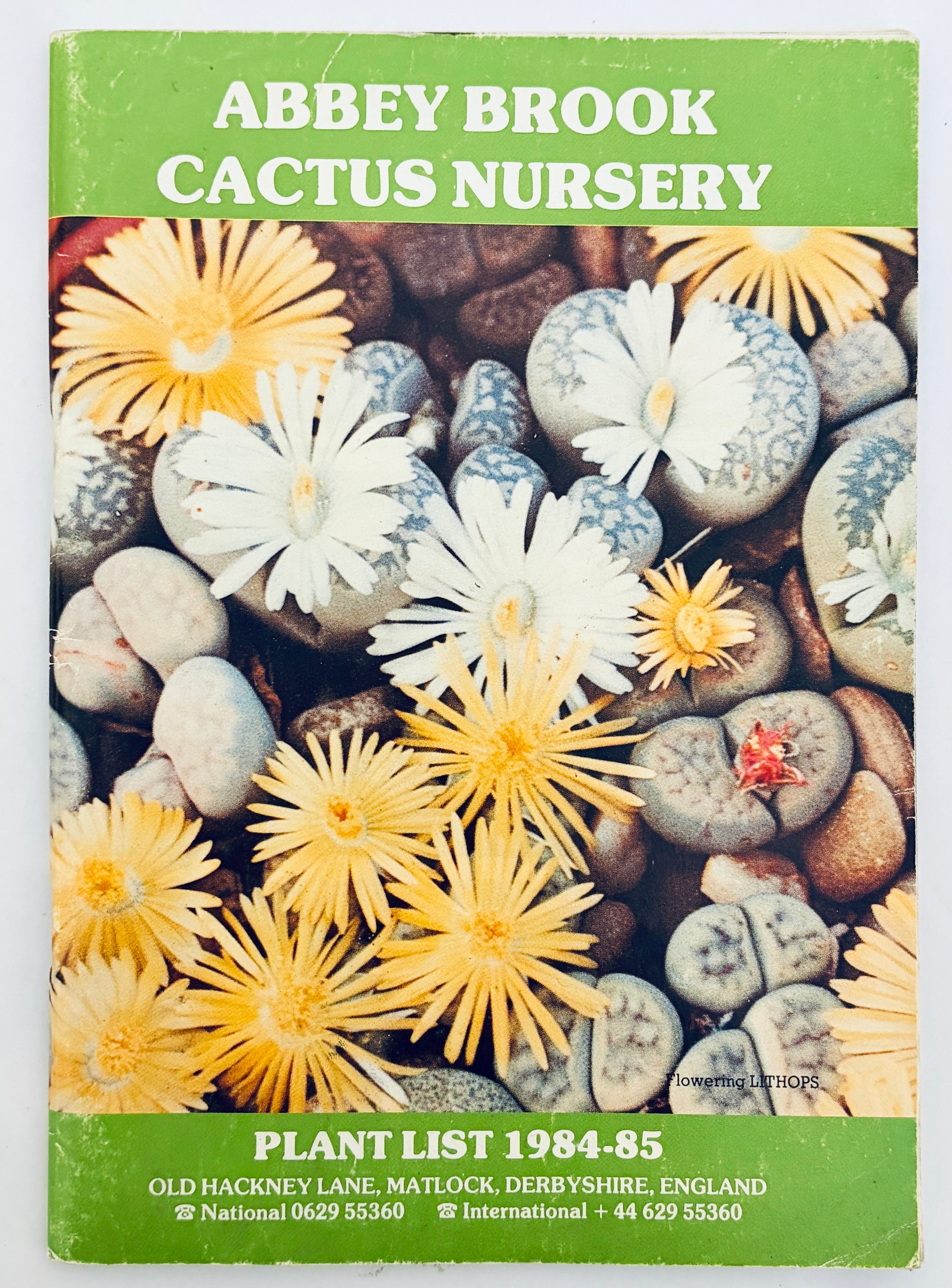ABBEY BROOK CACTUS NURSERY