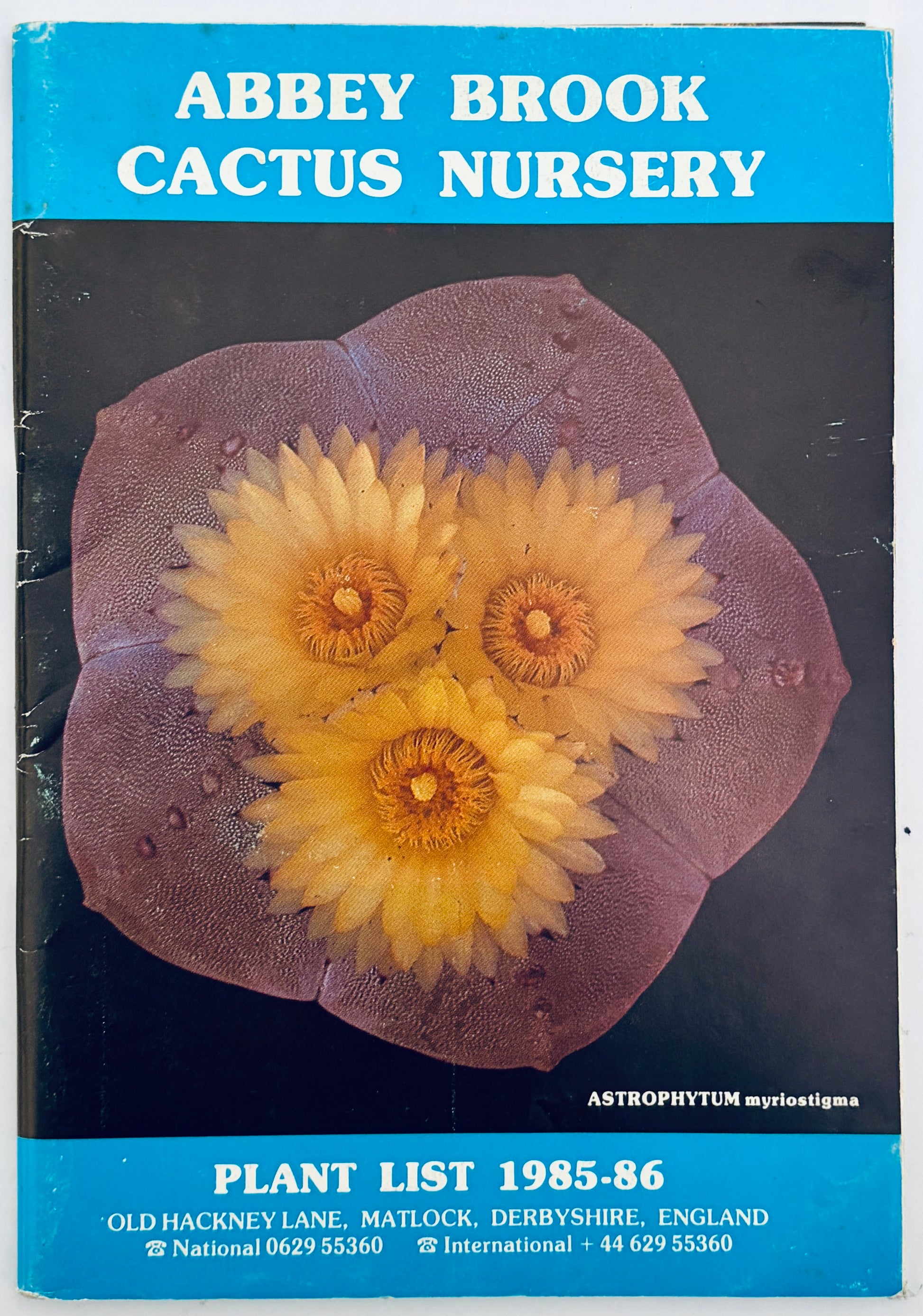 CACTUS | KATALOG | CHUO COMMERCIAL CO. LTD
