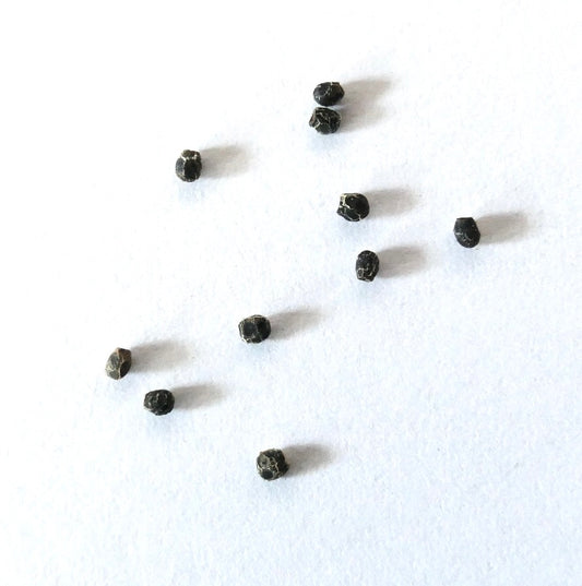 Acanthocalycium thionanthum SEEDS