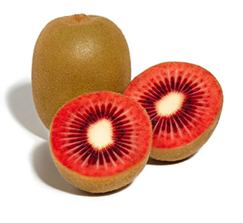 Actinidia arguta (RED KIWI) 40-110cm