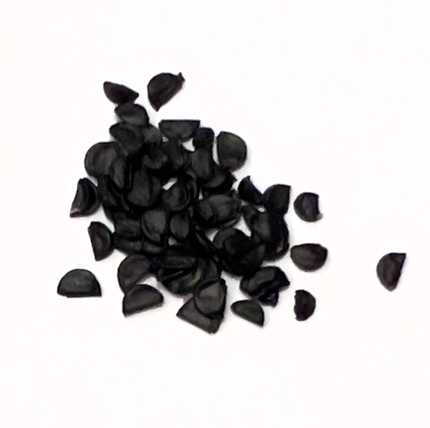 Agave geminiflora black succulent seeds for rare desert plant propagation