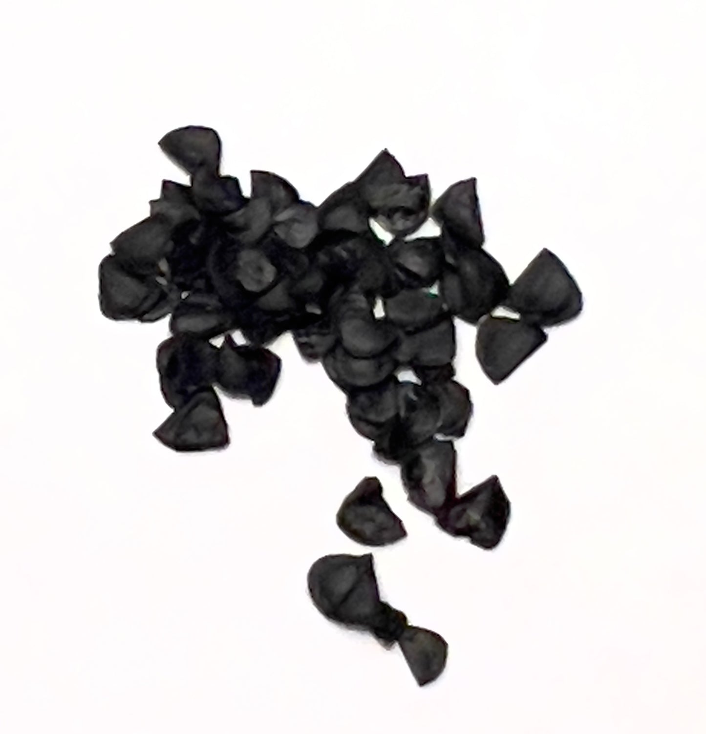 Agave pedunculifera black succulent seeds close-up on white background