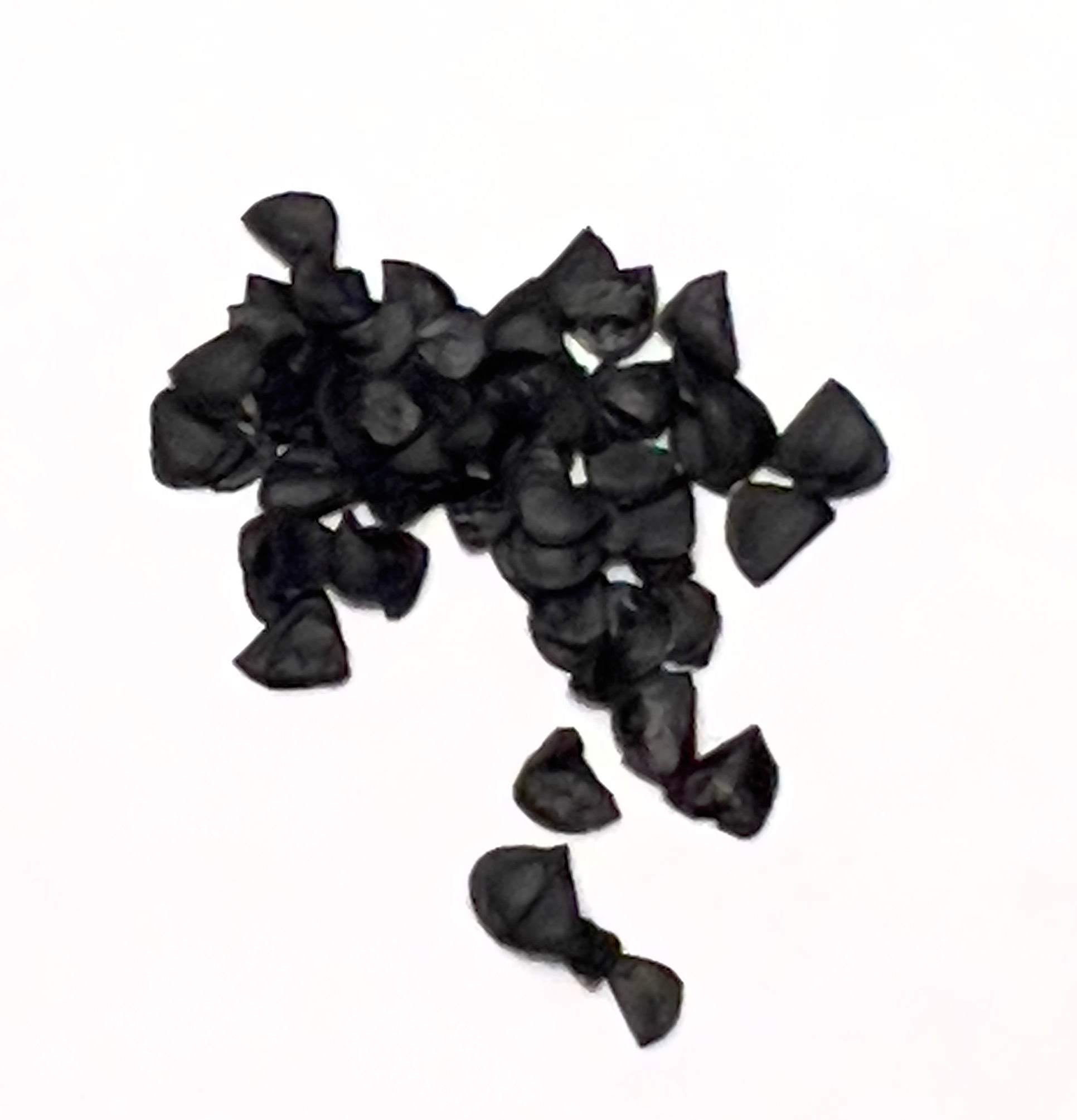 Agave pedunculifera black succulent seeds close-up on white background