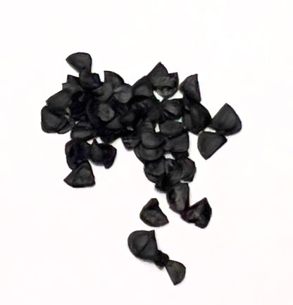 Agave pedunculifera black succulent seeds close-up on white background