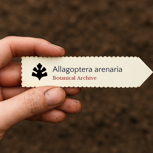 Étiquette végétale imprimée pour Allagoptera arenaria tenue au-dessus d'un fond de terre