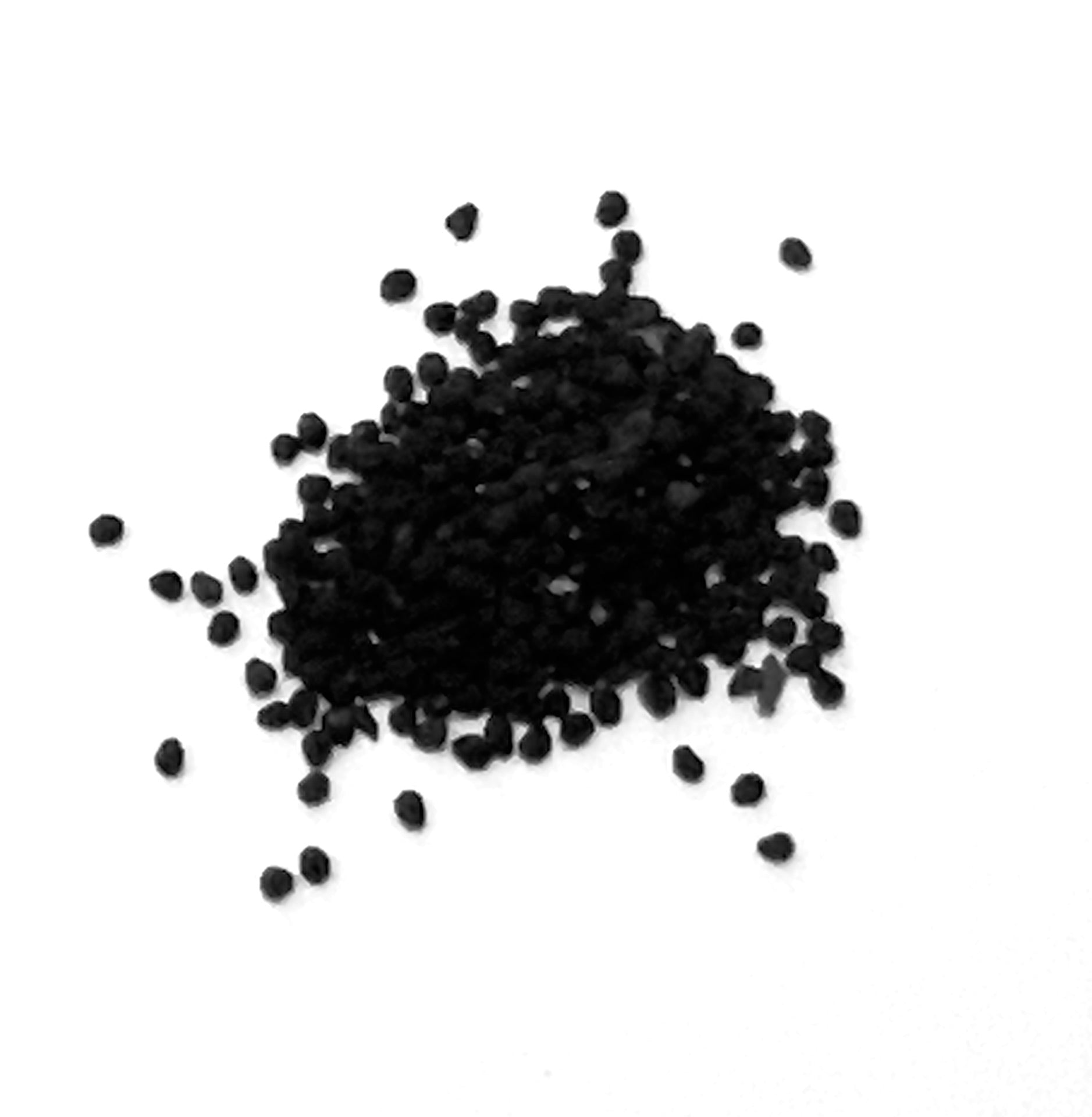 Ariocarpus retusus small black seeds for rare succulent cactus propagation