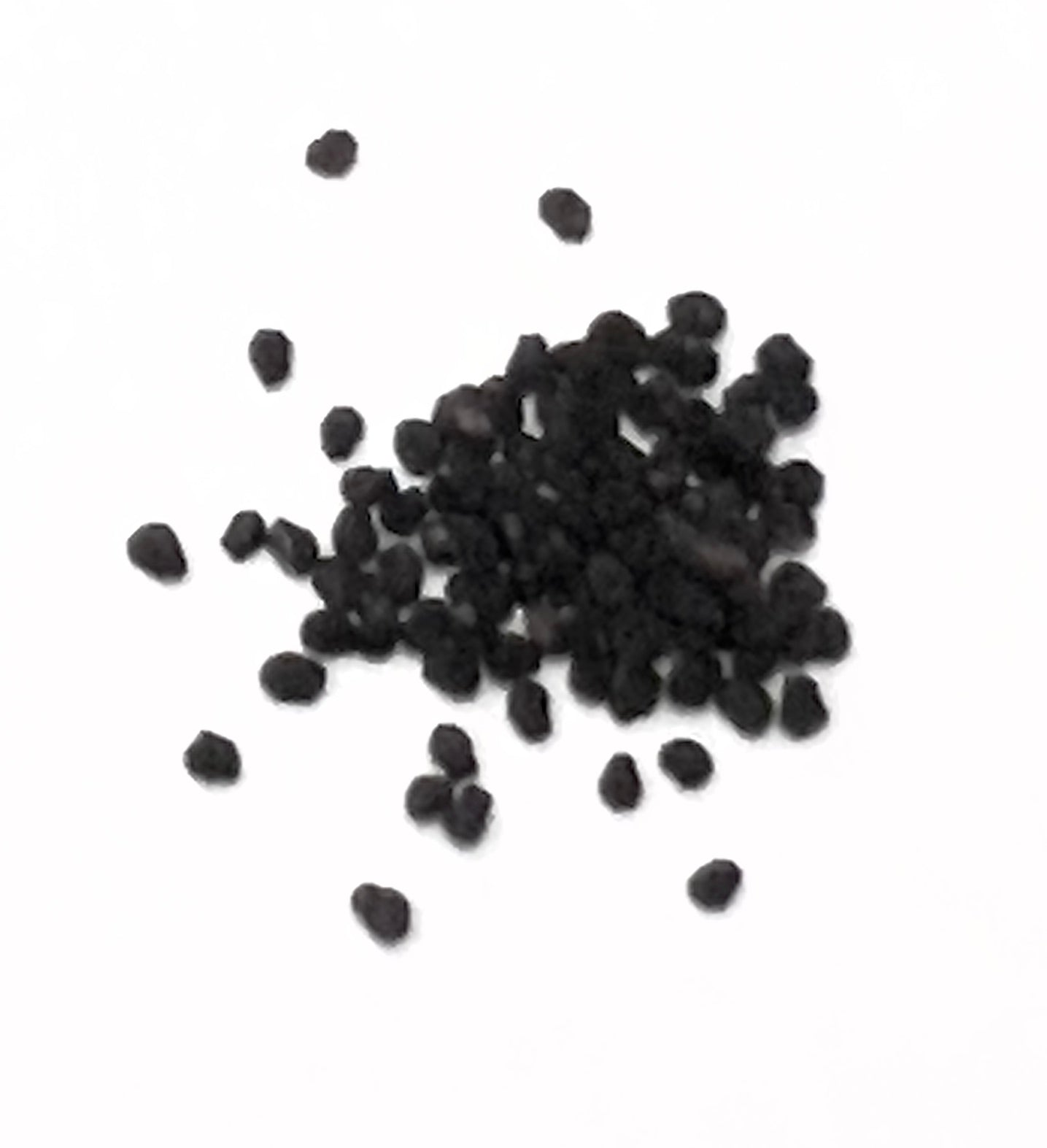 Ariocarpus lloydii cultivar "TUHAMI GRAY" rare small black cactus seeds on white background