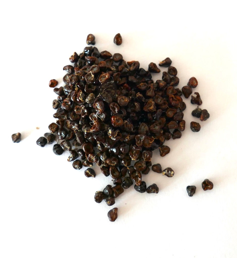 Zwarte zaden van Astrophytum asterias cv Oibbo nudum op een witte ondergrond