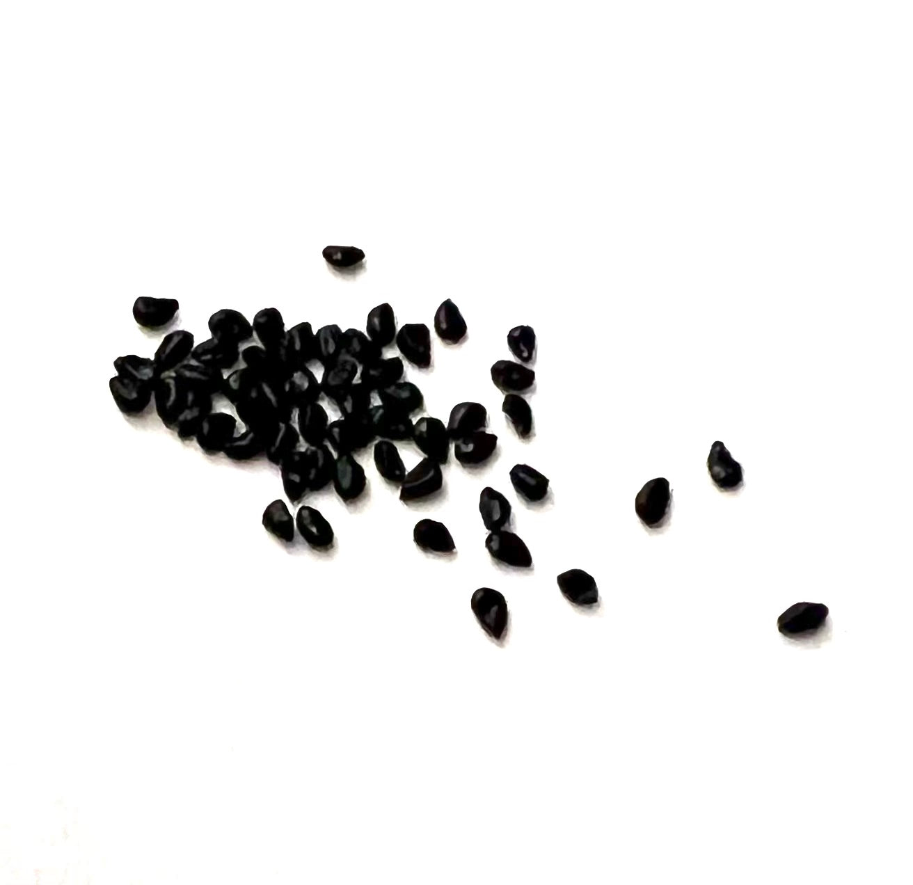 بذور صبار صغيرة سوداء من **أزوروسيريوس فيريديس** مبعثرة على خلفية بيضاء