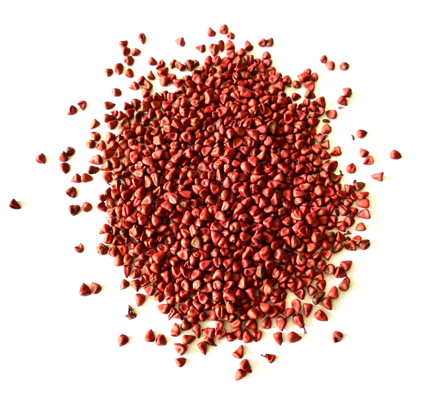 Kleine roodbruine zaden van Bixa orellana verspreid op een witte achtergrond