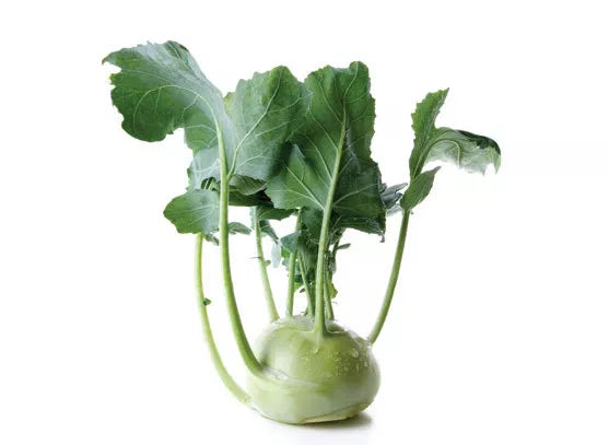 Brassica oleracea var. gongylodes 'Vienna Kohlrabi White' SEEDS