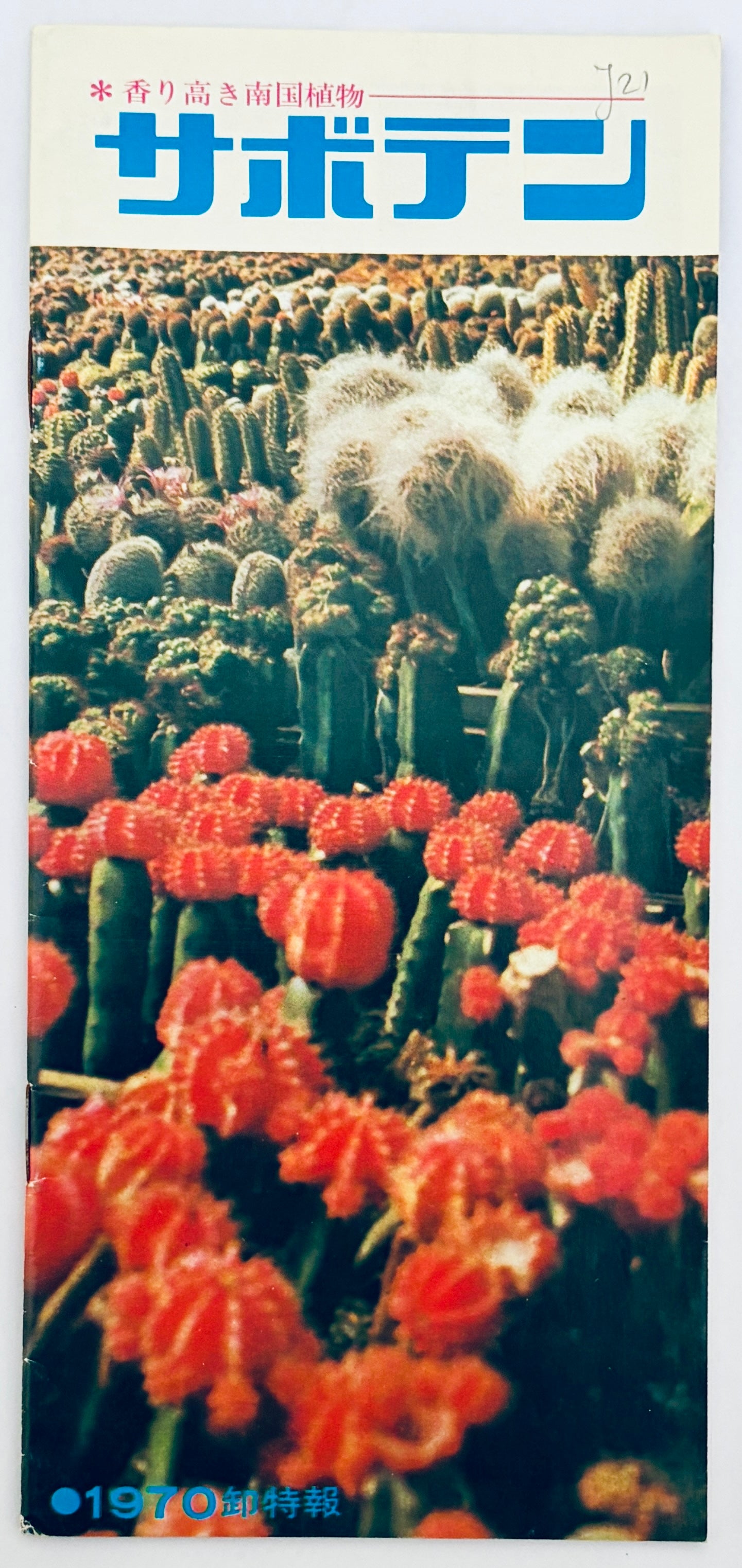 CACTUS | Leaflet 1970