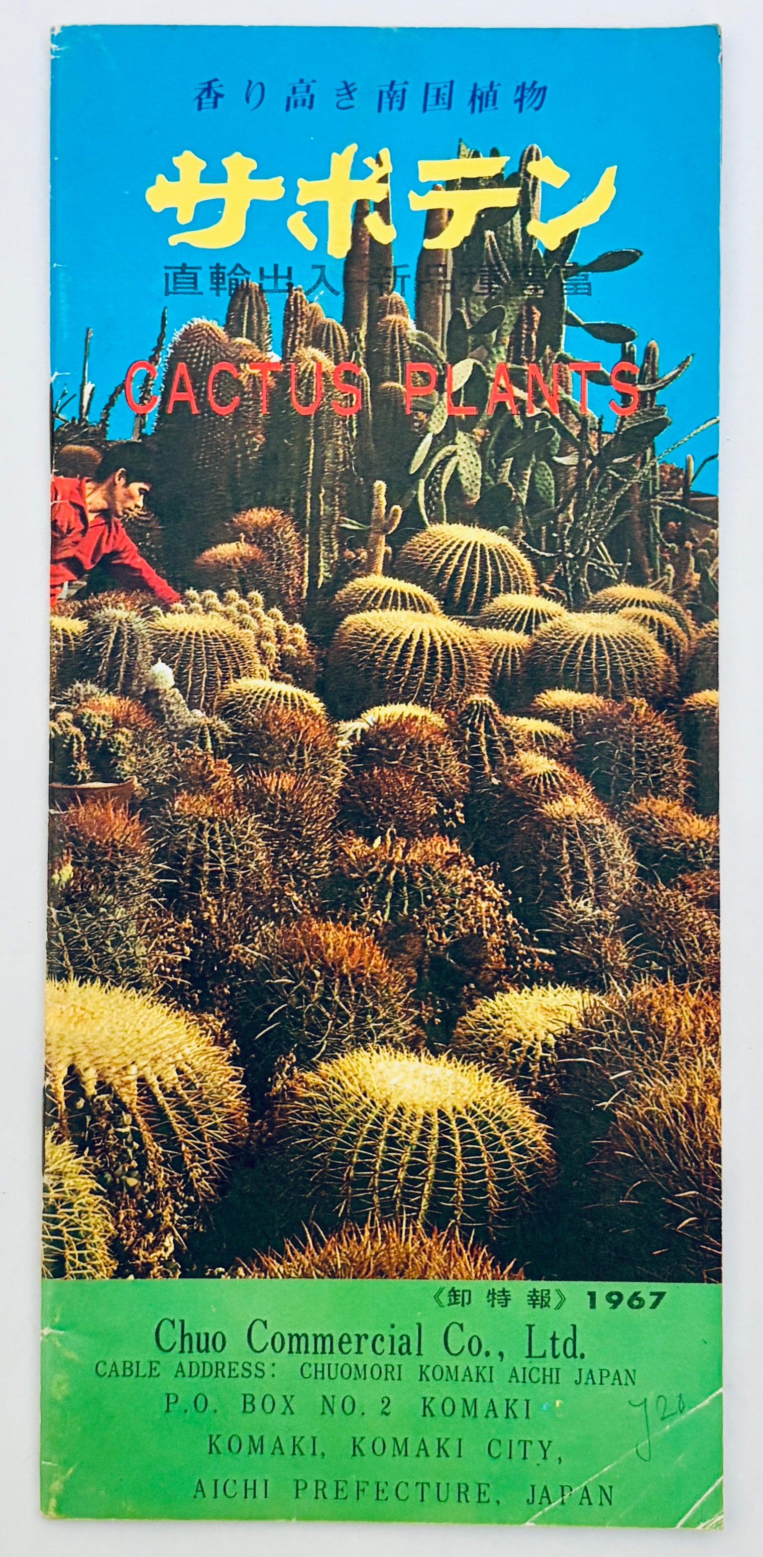 CACTUS PLANTS | Catalogue 1967 | CHUO COMMERCIAL CO. LTD