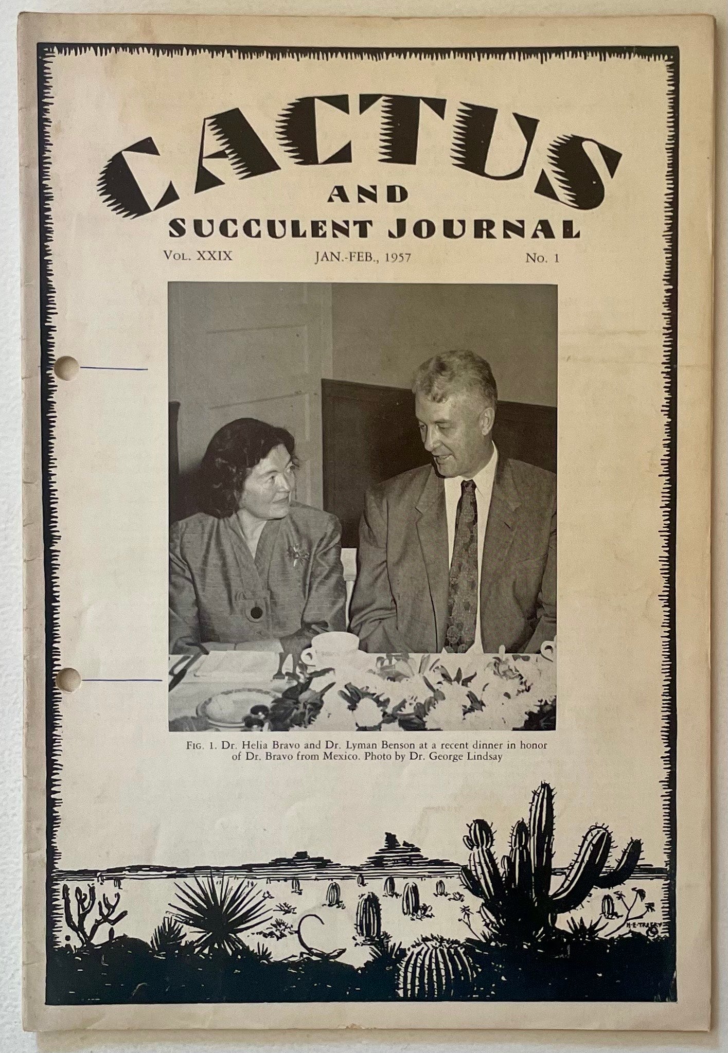 Cactus and Succulent Journal showing diverse desert cacti silhouettes and spiny succulent plants