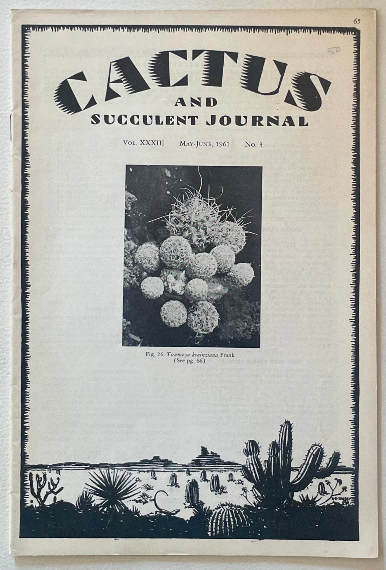 Toumeya krainziana liten klynget kaktus med tette hvite pigger og globulære stilker