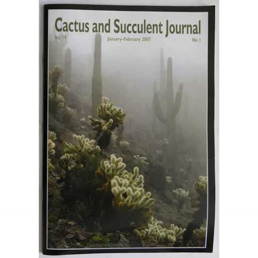 Nessun nome botanico presente nel titolo da estrarre per la creazione del testo alternativo.