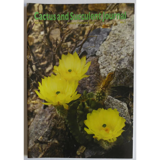 No botanical name present in the title to use as a primary keyword for alt text creation.