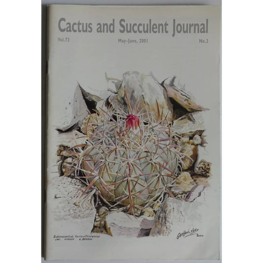 Echinocactus horizonthalonius var. nicholii round cactus with long curved spines and small red flower