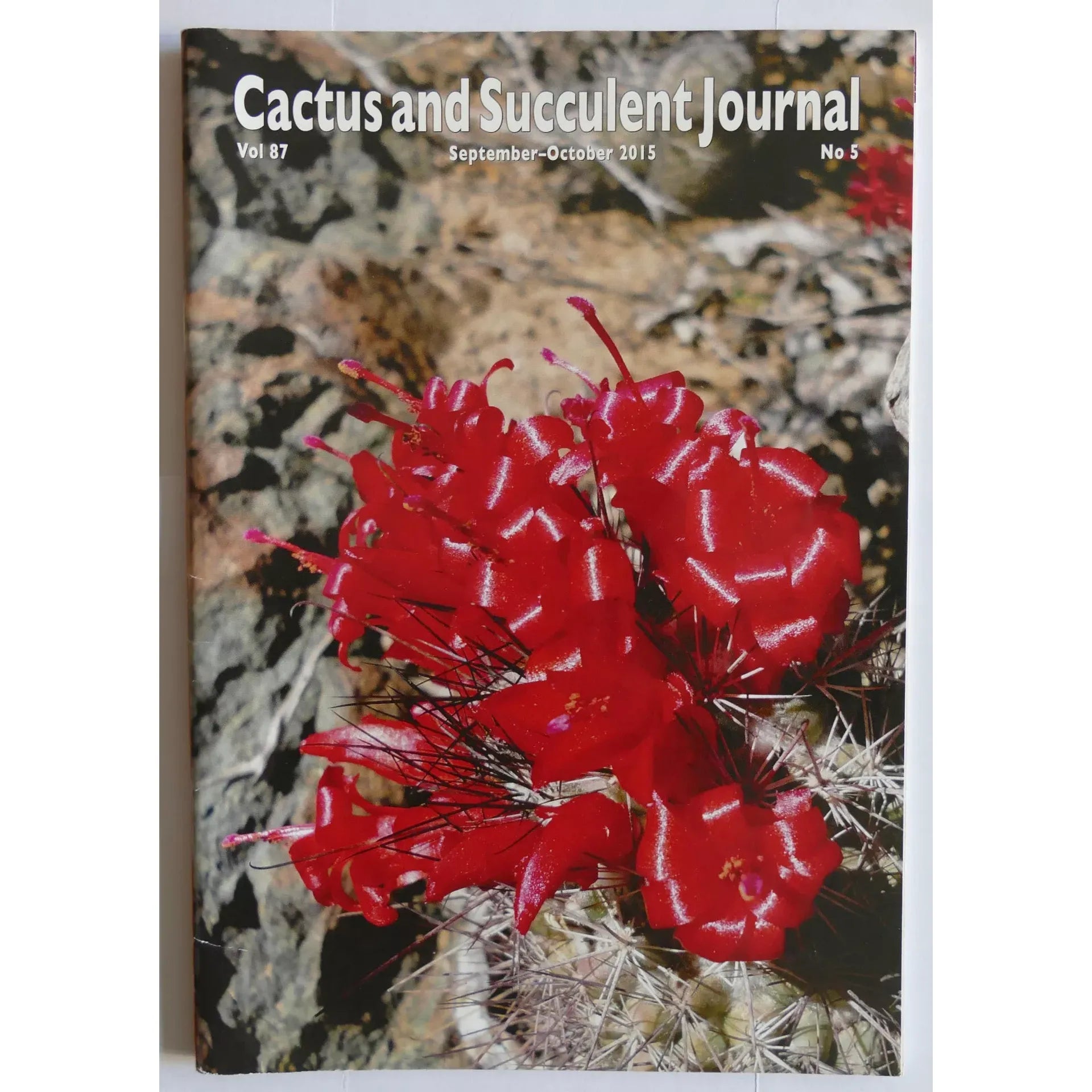 Ingen botanisk navn er til stede i tittelen å hente ut til alternativ tekst.